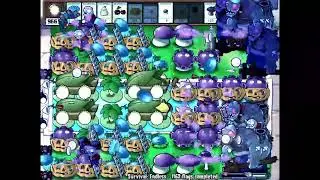 Sunflowerless Jack-Friendly 4 Cob Build