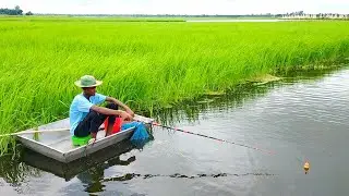 Best fishing videos - Traditional hook  fishing video in river - mr fishing life