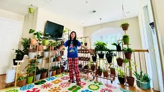My Indoor Plants Collection itsmelaarni