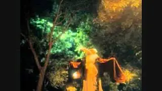 Wingbone - Califone