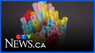 Ottawa&rsquo;s ban on single-use plastic will continue after unanimous vote