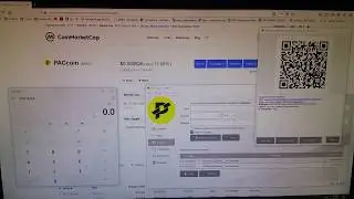 $PAC PACCoin Speed Demonstration with 5280Viking
