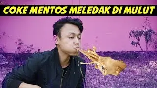 COKE MENTOS EXPERIMENT