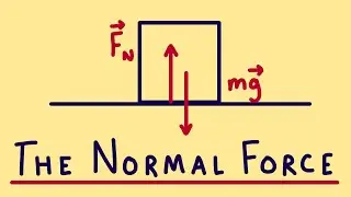 The Normal Force & Weight: Gravity&rsquo;s Role in Contact Forces | Concepts & Examples