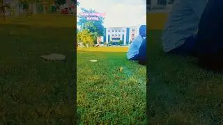 scpm college of nursing gonda 🚑🥋 #viral #shorts #subscribe #college 🥰#nursing 🧑&zwj;⚕️