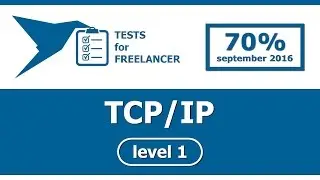 Freelancer - TCP/IP - level 1 - test (70%)