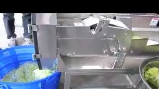 Vegetable 'Belt Feeding' Slicer - Demonstration Video I - www.CharliesMachineandSupply.com