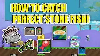 HOW TO CATCH PERFECT STONE FISH! | Growtopia 2023 |
