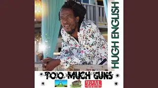 Too Much Guns