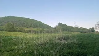 Abendpirsch im Waldrevier, den Feisthirschen auf der Fährte🦌