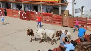 Encierro a caballo de Bañobárez