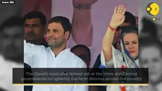 Will waive farm loans in 10 days if voted to power in MP: Rahul Gandhi