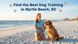 Find the Best Dog Training in Myrtle Beach South Carolina