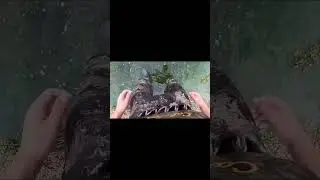 I Saved A Fish That Was TRAPPED In A Puddle!🤯