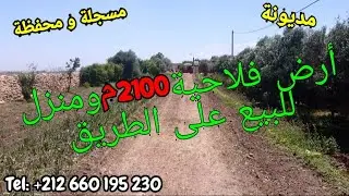 أرض فلاحية على طريق للبيع مسجلة و محفظة مع منزل ويمكن بناء مستودع بنواحي مديونة