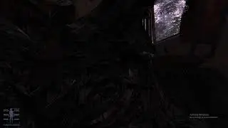 Stalker Mercenary Warfare day 1