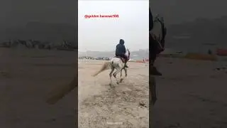 January 6,2026 horseriding in banaras#video #viralvideo #viral#horseriding in banaras#horse #banaras