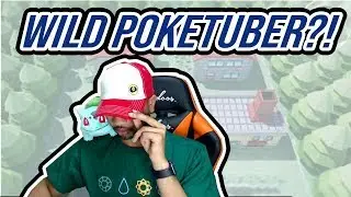 Wild PokeDom Appears!