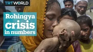 Rohingya crisis in numbers