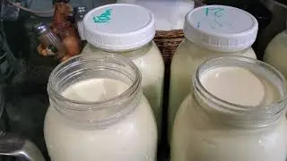 Skimming cream from cow's milk