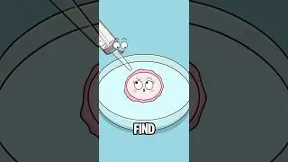 What? IVF Babies Can Have Ectopic Pregnancies Too?#animation #funny #shorts