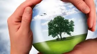 Life supports you. Meditation by Bruce Tift, read by Dr.Syed Amiry.