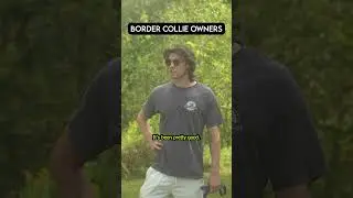Types of Dog Breed Owners at the Park
