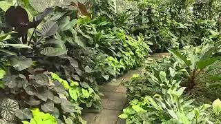 Discovering a Tropical Oasis, Botanical Garden, BH Lanka Tours from Nathan F. 🌿