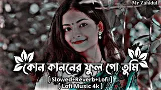 কোন কাননের ফুল গো তুমি _ Slowed Reverb Lofi Music _ Lofi Song _ TikTok Viral Sad Lofi Song
