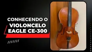 Violoncelo Eagle CE-300 (VENDIDO)