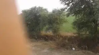 Chhainsa