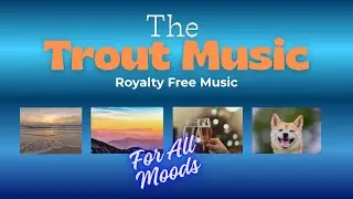 Royalty Free Music Pack &ndash; Cinematic, Chill, Upbeat (The Trout Music Originals)