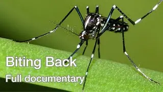The UK's battle against invasive ticks and mosquitoes