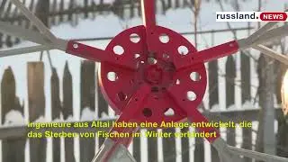 Ingenieure aus Altai haben eine Anlage entwickelt, die das Sterben von Fischen im Winter verhindert