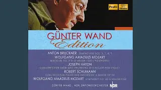 Symphony No. 7 in E Major, WAB 107 (original 1885 version, ed. R. Haas) : I. Allegro moderato