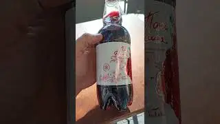 i Напій слабоалкогольний Пані вишня Low-alcohol drink Pani cherry Напиток слабоалкогольный 24072025
