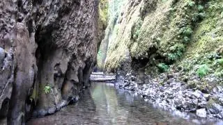 Oneonta Gorge and Falls
