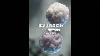 Origin of life: Earth's Journey to Humanity 🌍✨