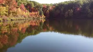 Come See the fall leaves up in Amery, WI