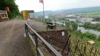 Rotweinwanderweg Erlenbach am Main - Klingenberg