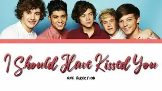 ONE DIRECTION - I SHOULD HAVE KISSED YOU lyrics (Color Coded)