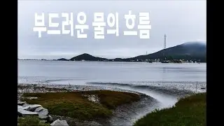 A sumi-e painting drawn by wind and rain, the tidal flats of Seokmodo Island