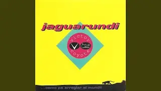 Jaguarundí