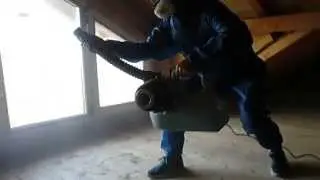 Dezinsectie Carii de Lemn