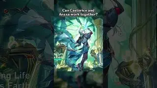 Can Castorice and Anaxa Work Together?