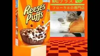ｶｲｧｃｏｎｓｕｍｅｒｉｓｍ   ｒａｐｮｿｲ
