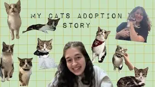 my cats adoption story❤️