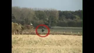 Gang - Enough Nothing **SHOCKING EVIDENCE**