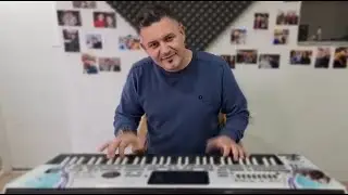 Aldina Bajic - Pozeli nesto (Cover)