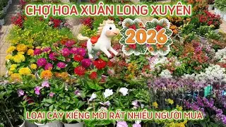  CHỢ HOA XUÂN LONG XUYÊN BÍNH NGỌ NHIỀU HOA ĐẸP MỚI LẠ 